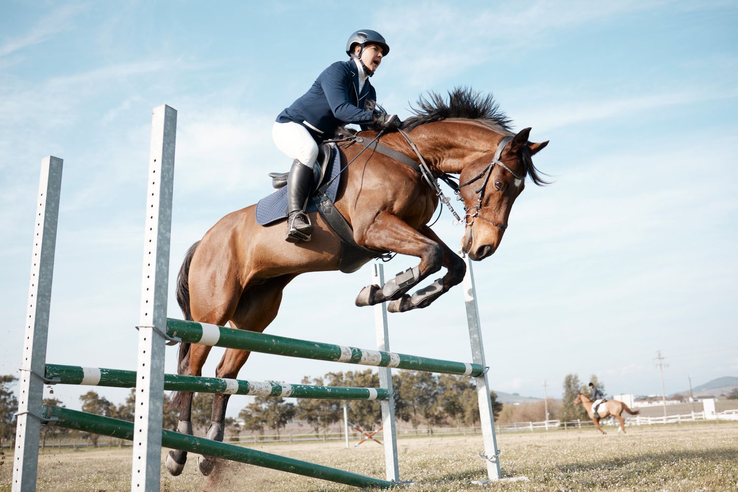 Equestrian sports