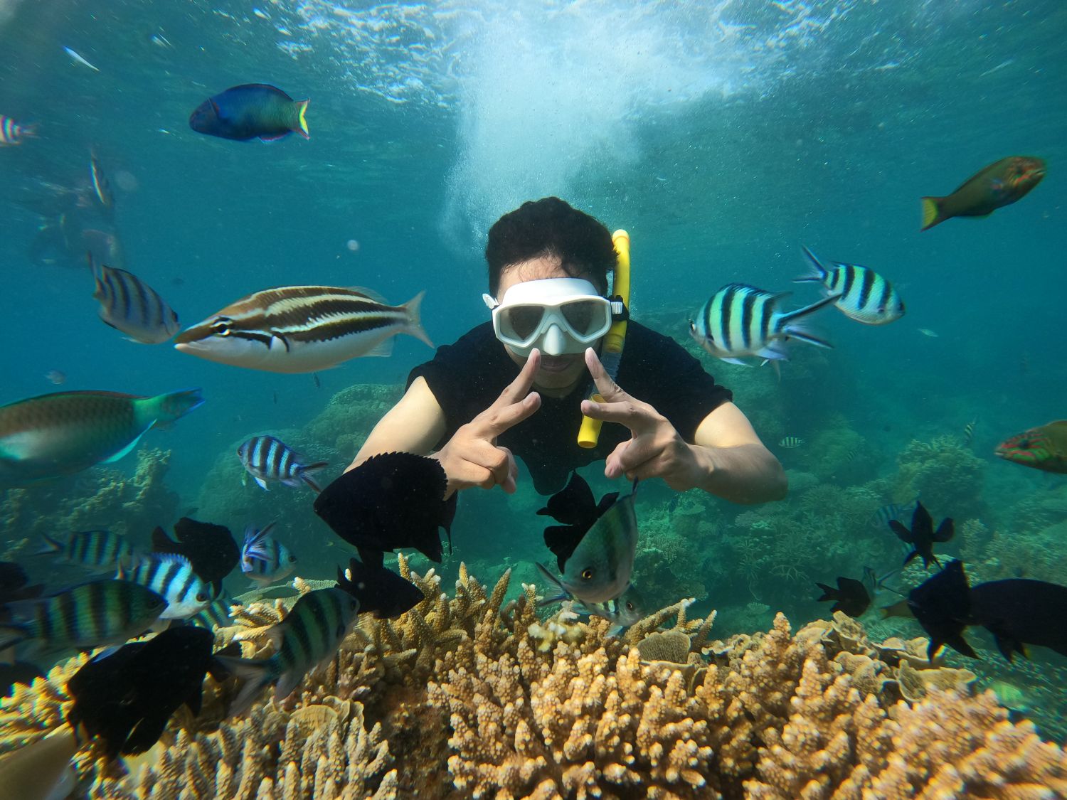 Explore the underwater world.
