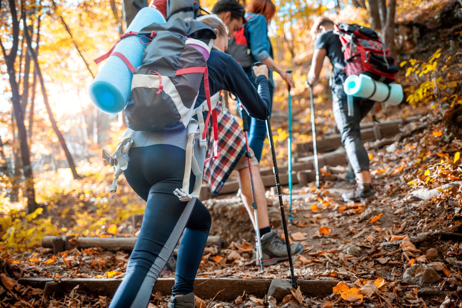 Hiking Trekking