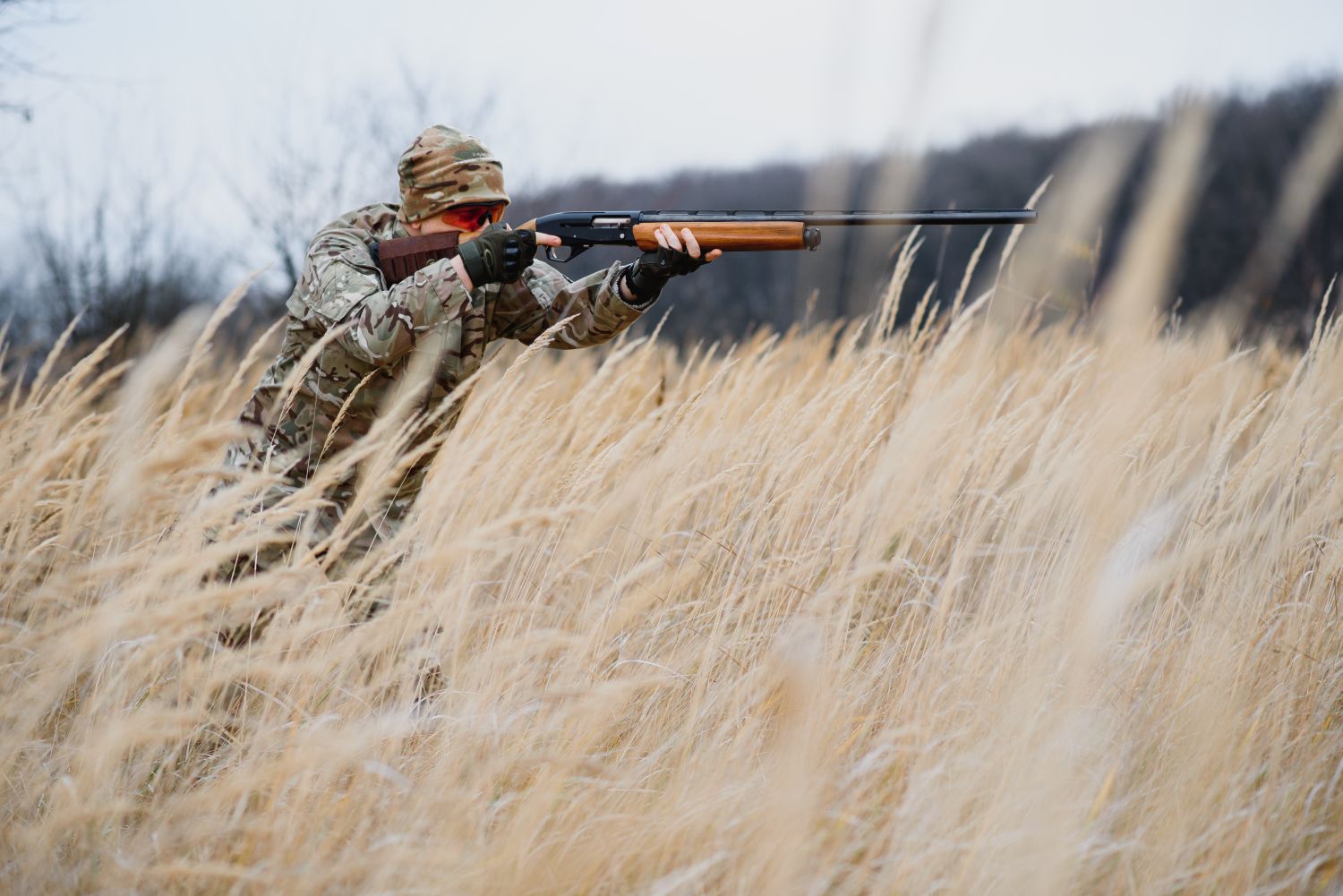 Hunting wildlife