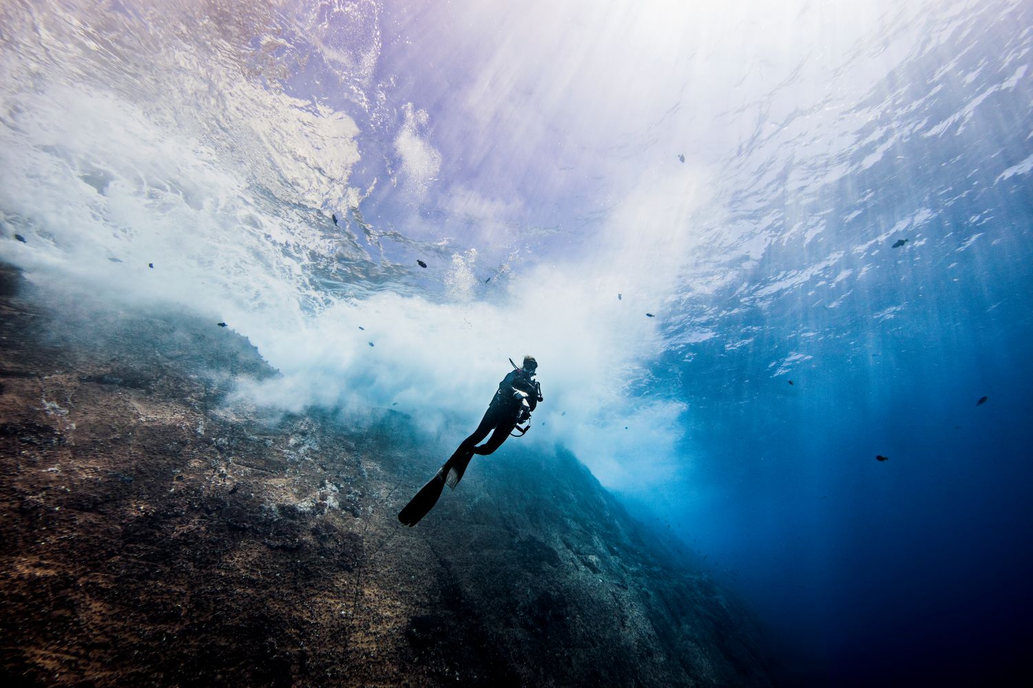 dive